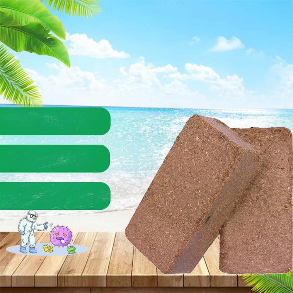 고급 건조 코코넛 코이어 블록, 화분 재배용, 채소 모 - Substrate Coconut Fiber 리뷰 및 가격